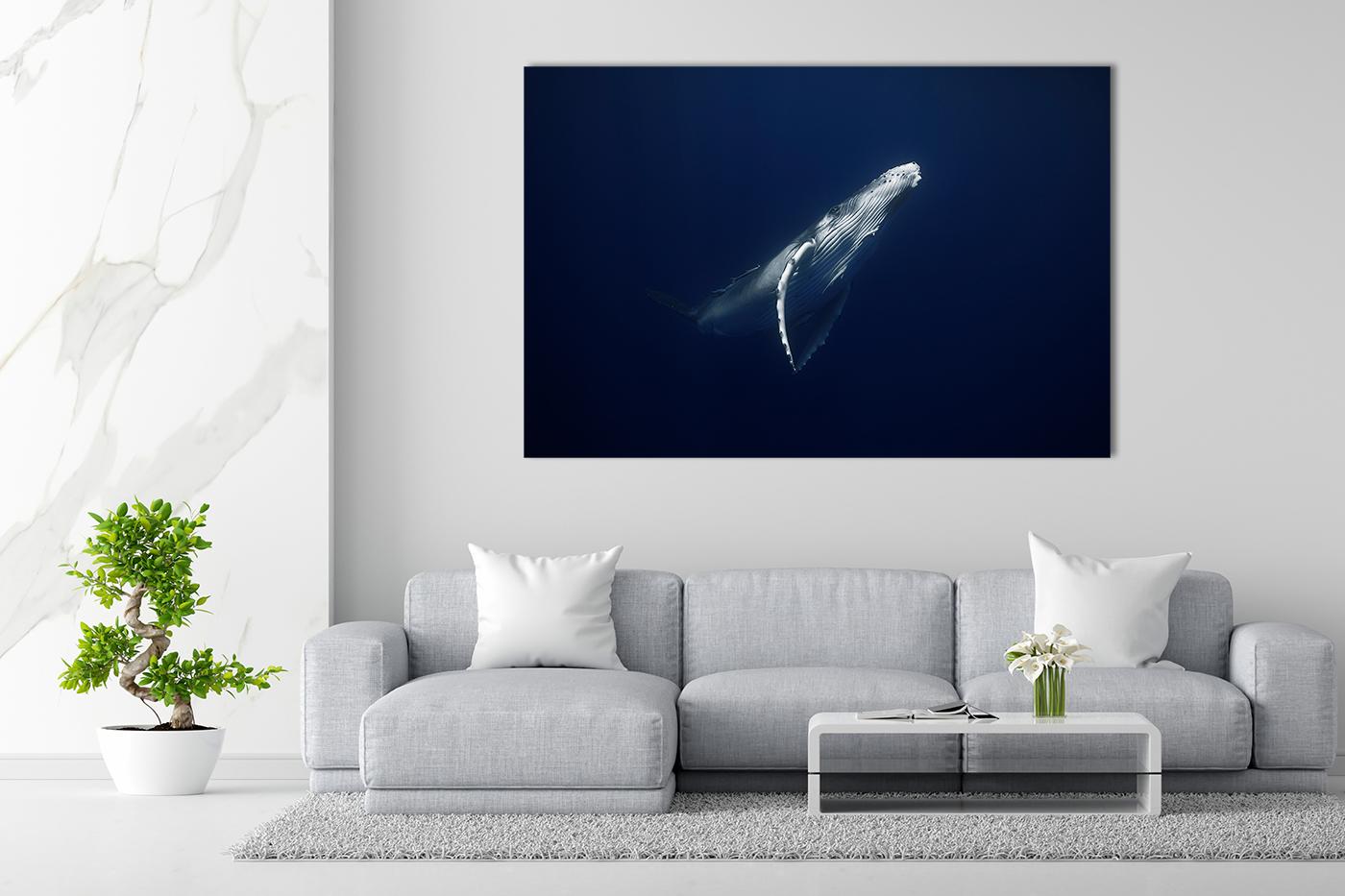 Interior picture of the image Playtime